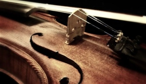 В центре «Моцарт» прошел скрипичный концерт «Все больше музыки и волшебства»