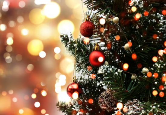 В Северном Бутове состоится программа «Новогодняя елка» 28 декабря 