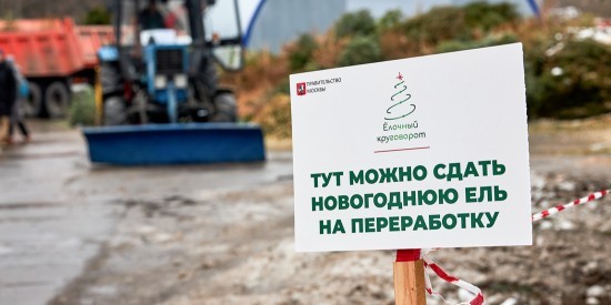 Жители Черемушек смогут сдать ёлку на переработку до 25 февраля