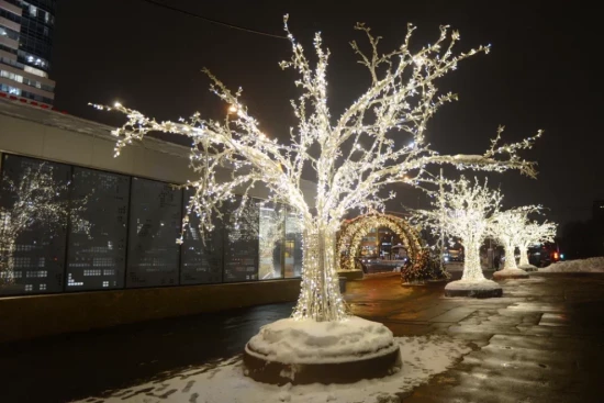 Резкое похолодание ждет жителей ЮЗАО в канун Нового года