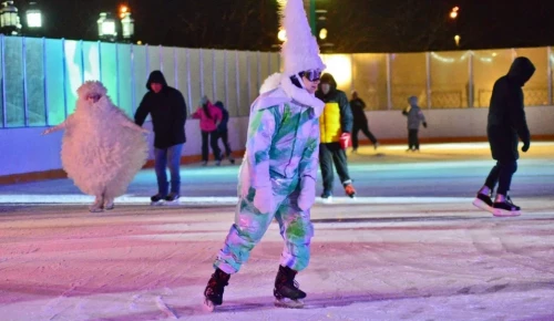 До конца зимы на площадках «Московских сезонов» в ЮЗАО будут работать бесплатные катки
