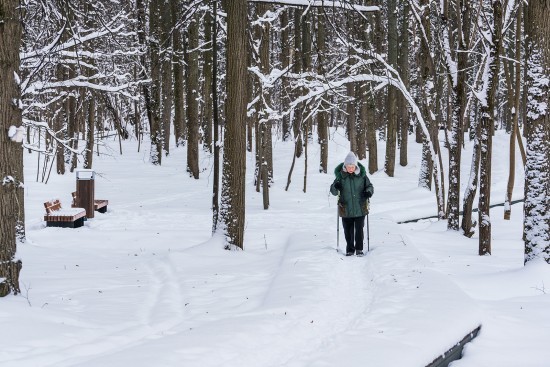 Парк «Битцевский лес» участвует в голосовании за лучший лыжный маршрут в «Активном гражданине» 