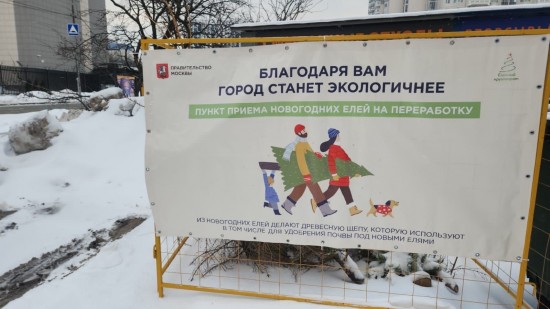 Жители Конькова сдали на переработку 95 елок в первой половине января