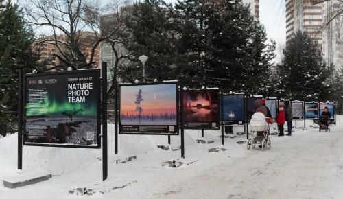 Зимние пейзажи России в Воронцовском парке