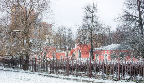 В Воронцовском парке до 4 февраля закрыт каток «Усадебный»