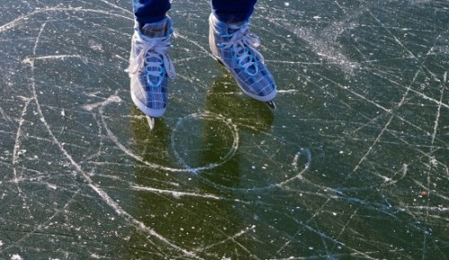 В Черемушках 3 февраля пройдут соревнования по конькобежному спорту «Лёд надежды нашей»