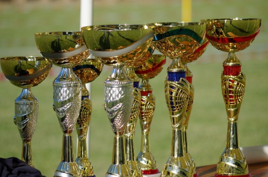 Воспитанники школы №1995 стали призерами межрайонных турниров по двум  спортивным направлениям
