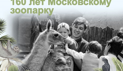 Главархив запустил онлайн-выставку к юбилею Московского зоопарка