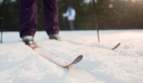 В Северном Бутове состоялись районные соревнования по лыжным гонкам «Бутовская лыжня» 