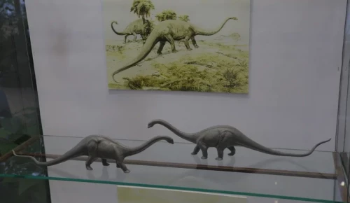 В Дарвиновском музее пройдет кураторская экскурсия по выставке «Динозавры у тебя дома»