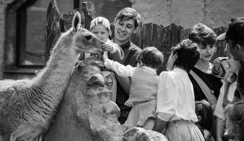 Главархив рассказал об открытых зимой виртуальных выставках