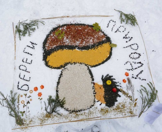 Картины из веток и сушёных ягод. Жители Ясенева победили в фестивале «Снежный холст»