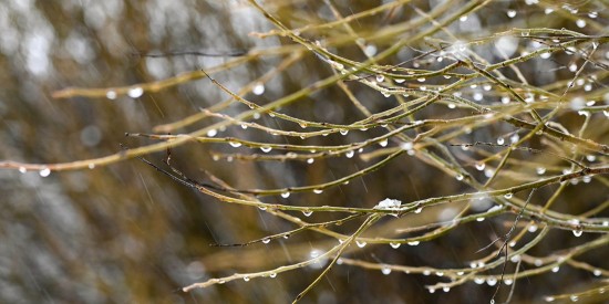 Начало календарной весны на юго-западе столицы будет теплым