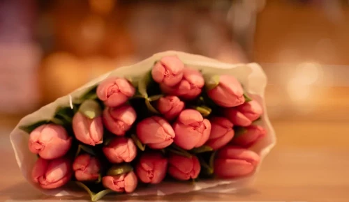 Центры московского долголетия ЮЗАО подготовили праздничную программу «Дорогие женщины»