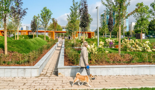 Новый сквер в Ясеневе стал лидером голосования о благоустройстве парков в проекте «Активный гражданин»