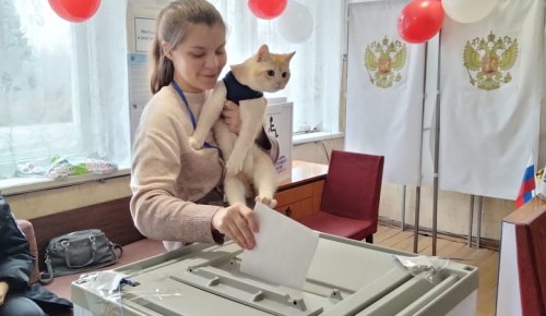Асафов: В Москве на выборах президента к 12 часам проголосовали более 1,5 млн избирателей