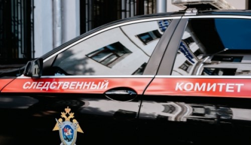 В Москве по факту происшествия на избирательном участке возбуждено уголовное дело