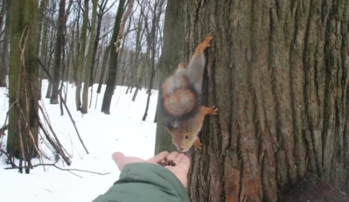 В выходные жителей ЮЗАО ждет плюсовая температура