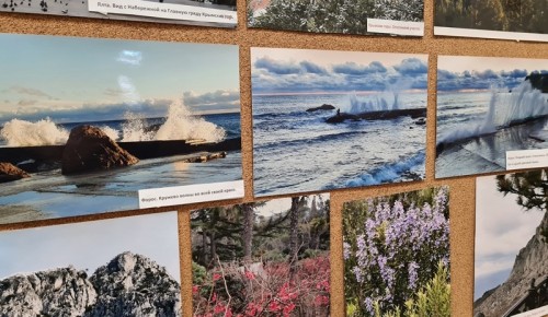 В УВД юго-запада столицы открылась фотовыставка «Крымская весна»