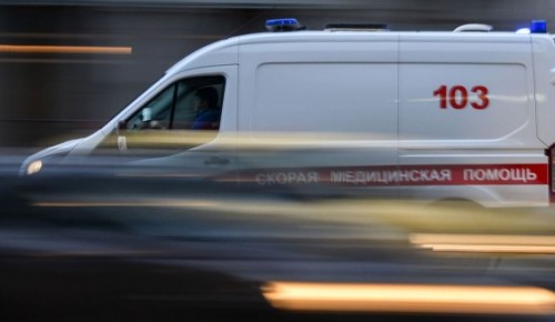 Зоопарк и музеи Москвы направят выручку за выходные в помощь пострадавшим