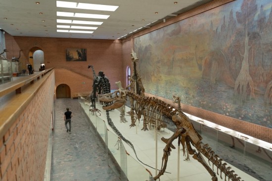 Более пяти тысяч экспонатов. Один из крупнейших естественно-исторических музеев мира находится в ЮЗАО