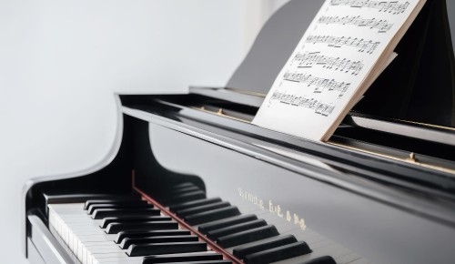 Жители Гагаринского района могут посетить концерт «Шедевры фортепианного репертуара» 9 апреля