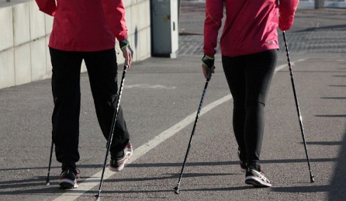 Соревнования по скандинавской ходьбе пройдут 9 апреля в пойме реки Битцы