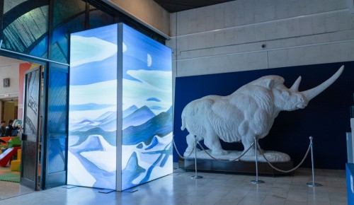 Искусство в экспедиции. В Дарвиновском музее работает выставка арктических работ Ватагина