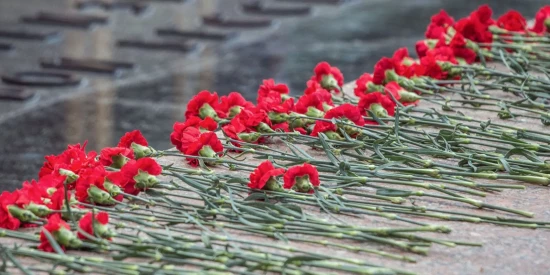 В Северном Бутове организуют памятную акцию к Международному дню освобождения узников фашистских концлагерей