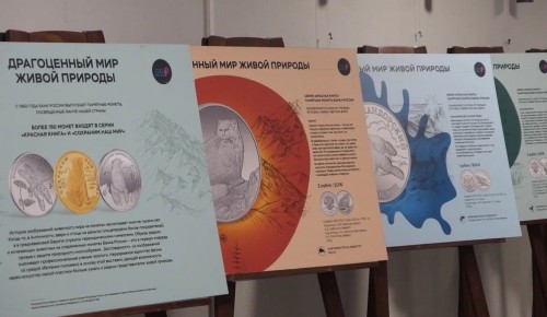В «Атланте» открыли выставку о монетах, посвященных фауне России