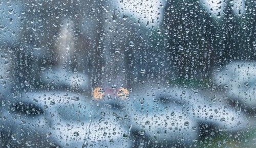 Небольшой дождь ожидается в выходные на юго-западе Москвы