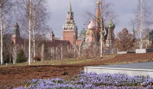 В Москве зафиксирован рост делового туризма