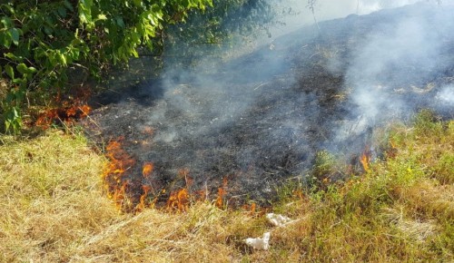 Сухая трава – легковоспламеняющийся источник пожара