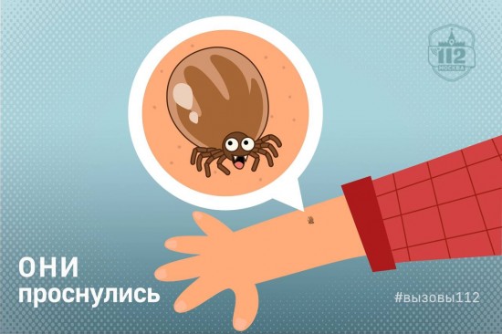 Они проснулись!