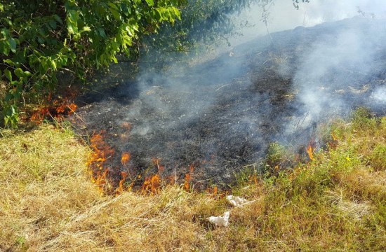 Сухая трава – легковоспламеняющийся источник пожара