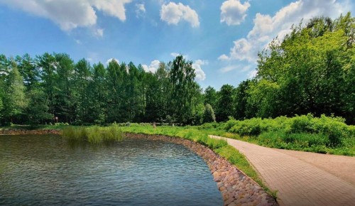 В парке «Сокольники» проведут реабилитацию Оленьих прудов — Сергей Собянин