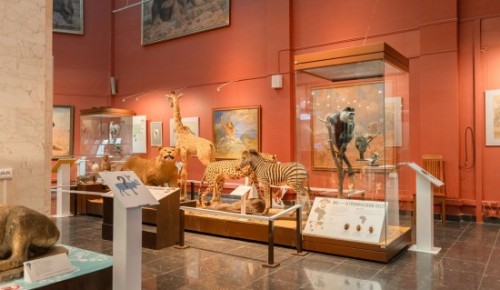 Дарвиновский музей проведет тематическую программу в рамках акции «Ночь в музее»