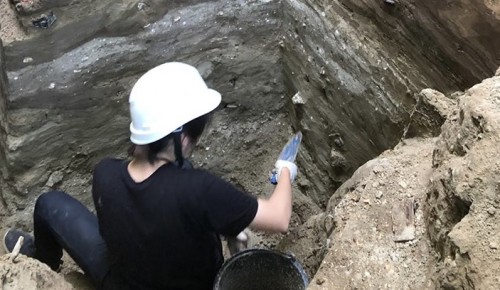 В «Меридиане» прочитают лекцию об археологических раскопках в Брянской области