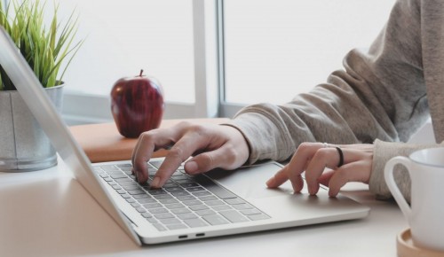 «Единая Россия» запустила электронное предварительное голосование