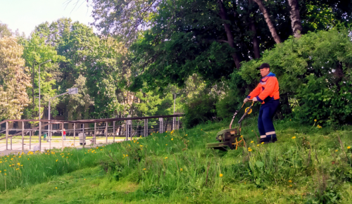 В Черемушках проводят летние работы по уходу за зелеными насаждениями