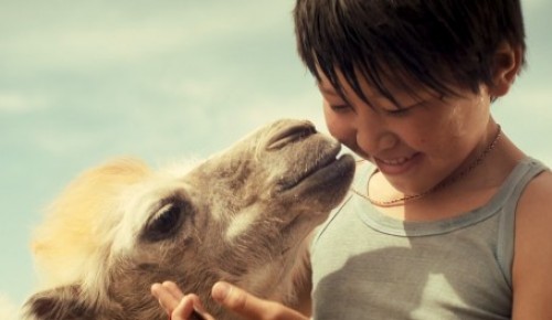 В кинотеатре «Салют» покажут фильм «Небесный верблюд» к Дню защиты детей
