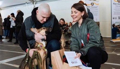 Собянин: Социально ориентированные НКО могут получить грант до 5 млн рублей