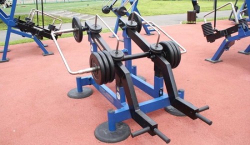 Бесплатное занятие на силовых тренажерах проведут в Яблоневом саду района Коньково