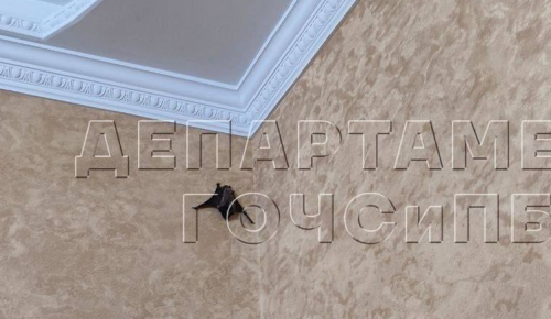 В квартире на улице Адмирала Лазарева спасатели поймали летучую мышь
