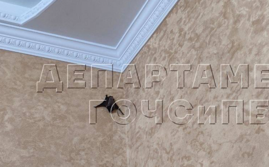 В квартире на улице Адмирала Лазарева спасатели поймали летучую мышь