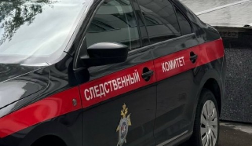 Подозреваемый в убийстве мужчин в Конькове задержан