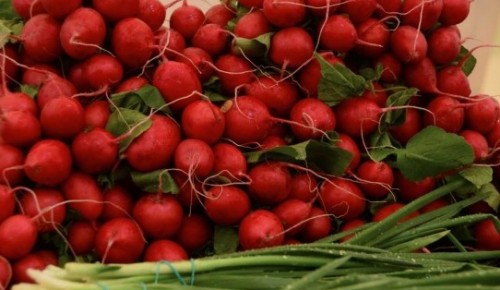 Ярмарка выходного дня в Северном Бутове стала всесезонной