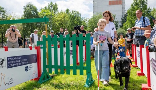 Хвостатый друг и помощник. В районе Коньково собаки-проводники показали своё мастерство