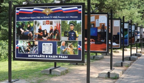 На юго-западе Москвы, в Воронцовском парке, открылась фотовыставка «Служебные будни УВД по ЮЗАО ГУ МВД России по г. Москве»