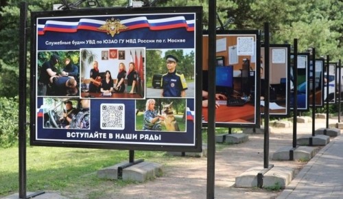 Фотовыставка о деятельности УВД по ЮЗАО открылась в Воронцовском парке